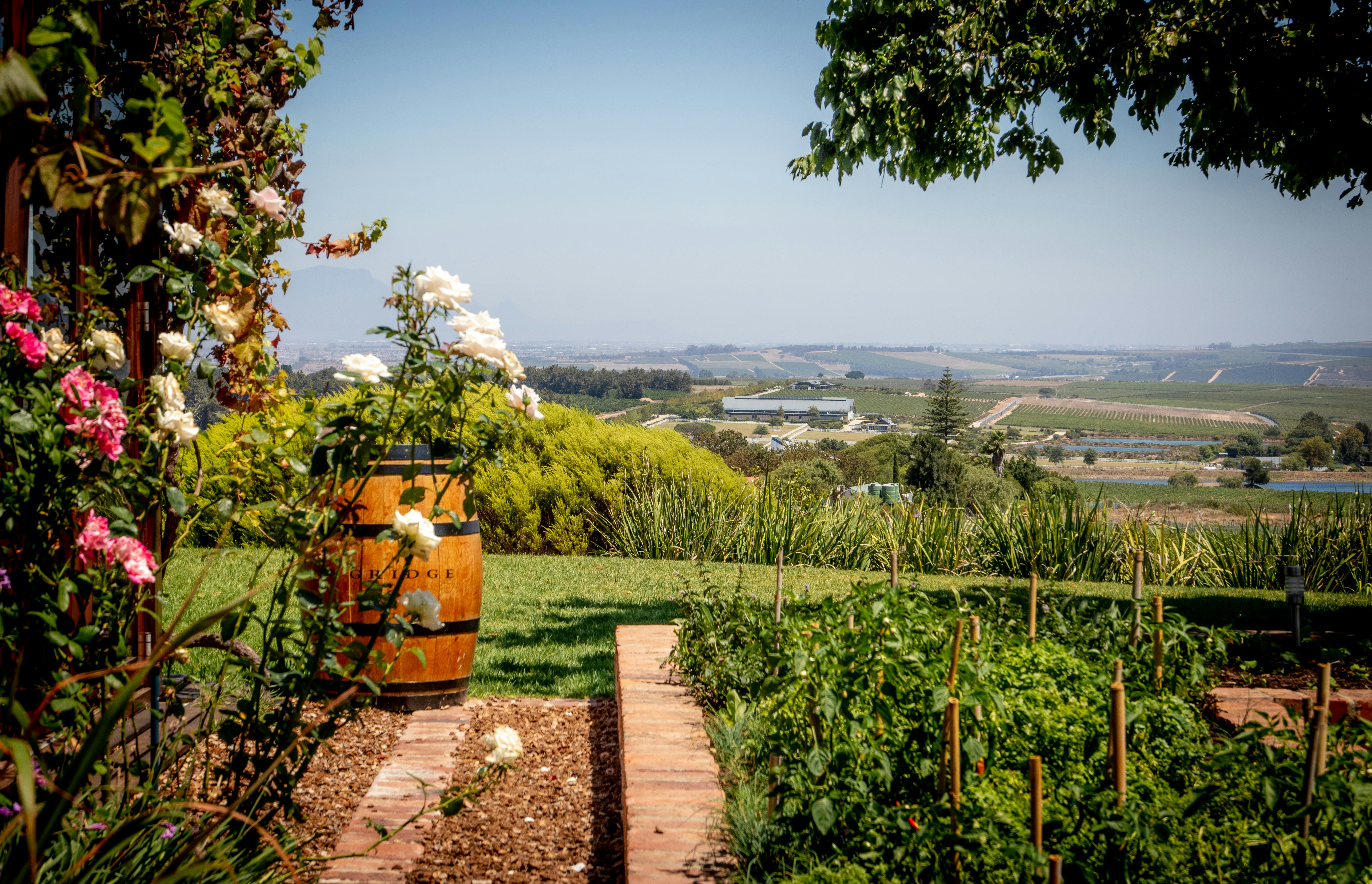 Cape Wine Estate